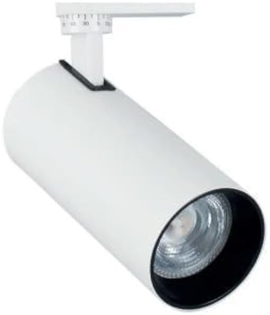 2022 Concealed Light 20W — Track-Mounted Adjustable Spot